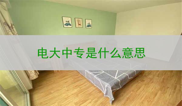 电大中专是什么意思