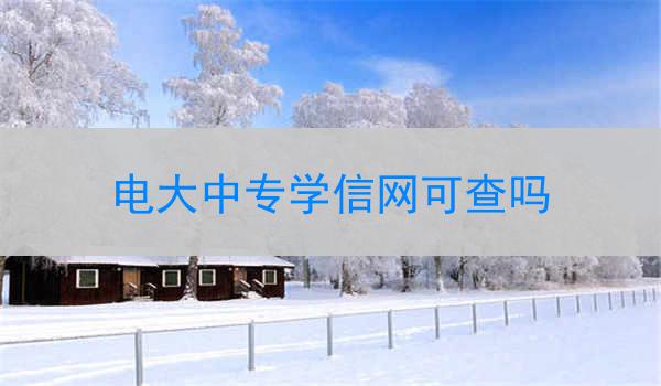 电大中专学信网可查吗