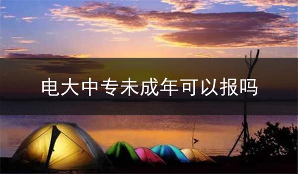 电大中专未成年可以报吗