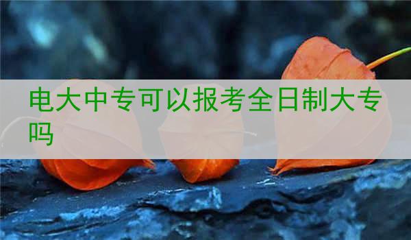 电大中专可以报考全日制大专吗