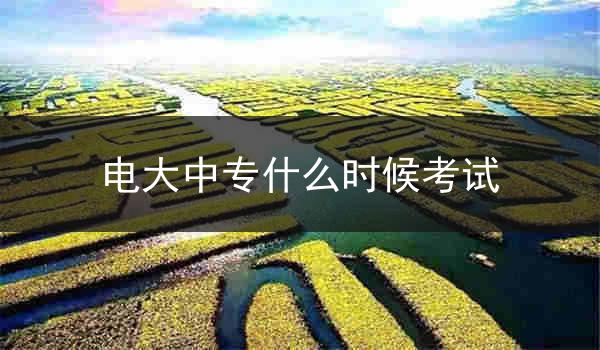 电大中专什么时候考试