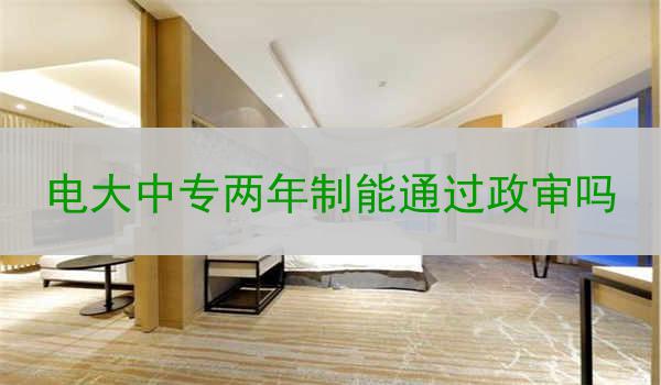 电大中专两年制能通过政审吗