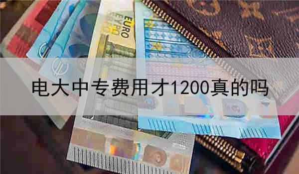 电大中专费用才1200真的吗