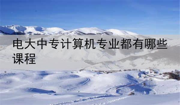 电大中专计算机专业都有哪些课程