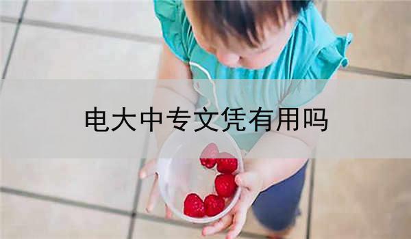 电大中专文凭有用吗