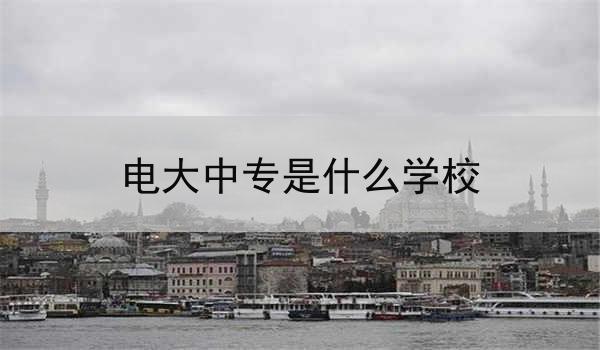 电大中专是什么学校