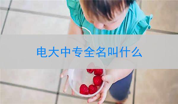 电大中专全名叫什么