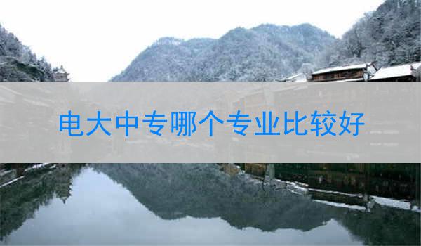 电大中专哪个专业比较好