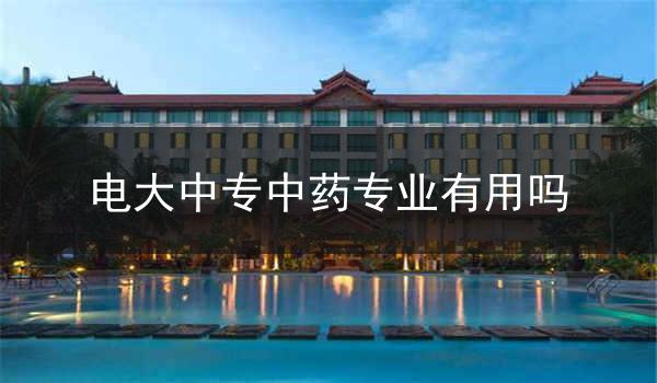 电大中专中药专业有用吗