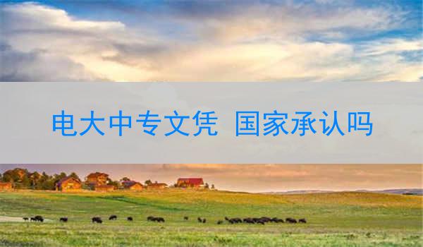 电大中专文凭 国家承认吗
