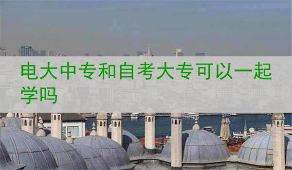 电大中专和自考大专可以一起学吗