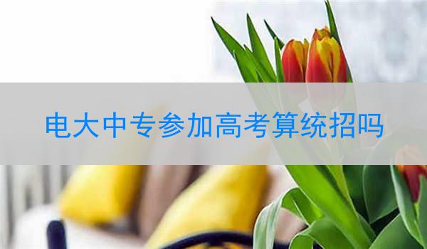 电大中专参加高考算统招吗