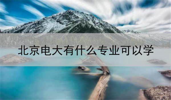 北京电大有什么专业可以学