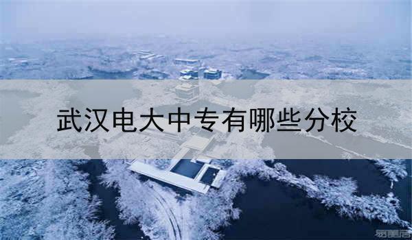 武汉电大中专有哪些分校