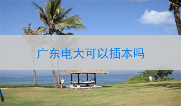 广东电大可以插本吗