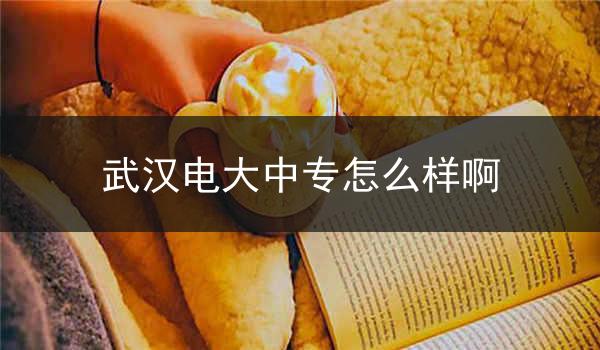 武汉电大中专怎么样啊