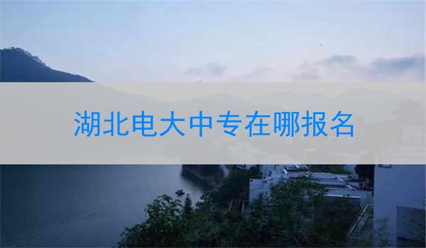 湖北电大中专在哪报名