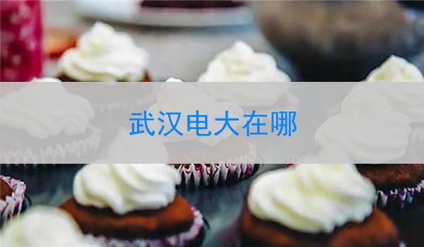 武汉电大在哪