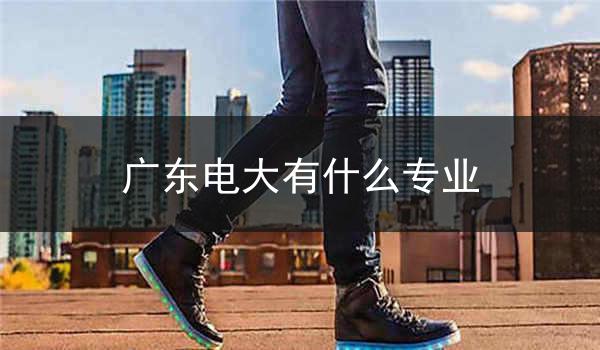 广东电大有什么专业