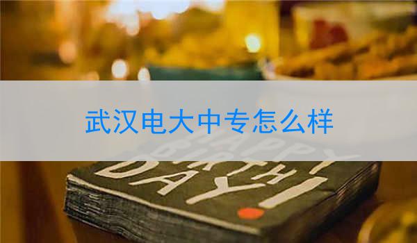 武汉电大中专怎么样