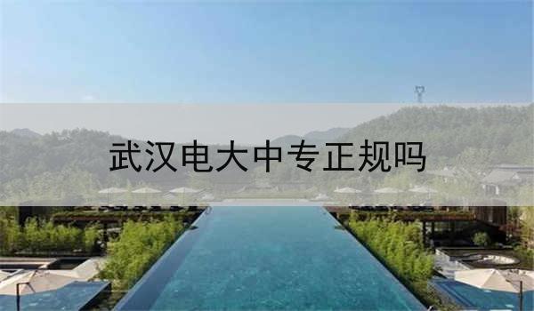 武汉电大中专正规吗