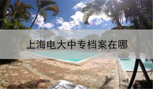 上海电大中专档案在哪