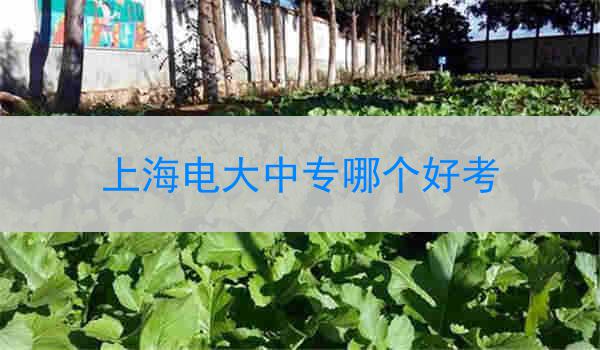 上海电大中专哪个好考