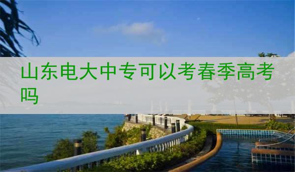 山东电大中专可以考春季高考吗