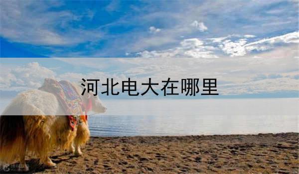河北电大在哪里