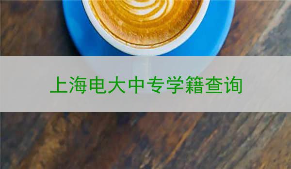 上海电大中专学籍查询