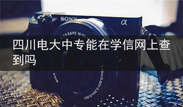 四川电大中专能在学信网上查到吗