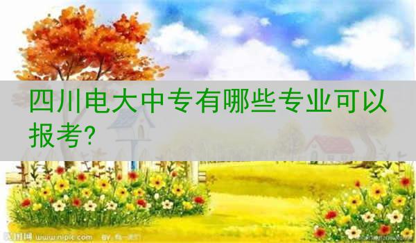 四川电大中专有哪些专业可以报考?