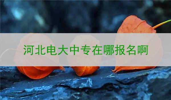 河北电大中专在哪报名啊