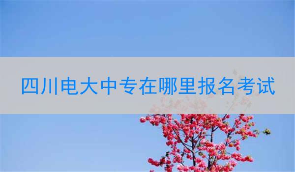 四川电大中专在哪里报名考试