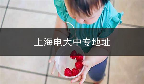 上海电大中专地址