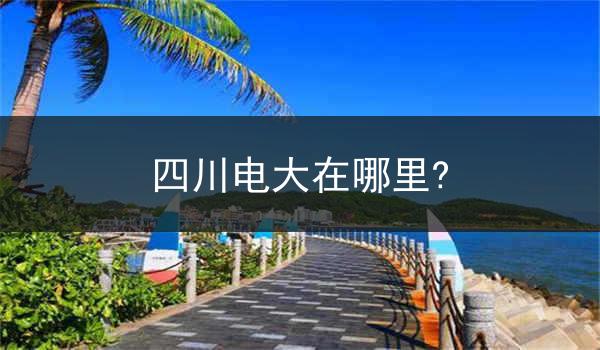 四川电大在哪里?