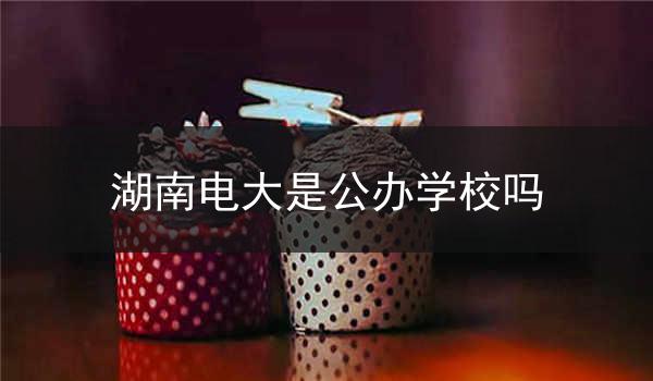 湖南电大是公办学校吗