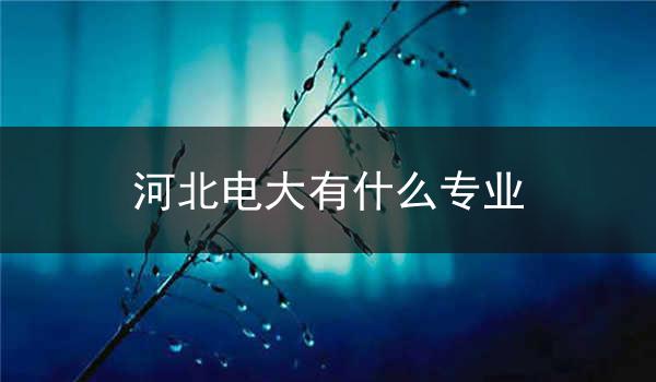 河北电大有什么专业