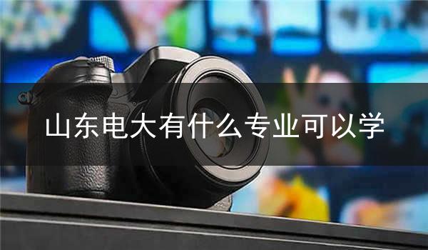 山东电大有什么专业可以学